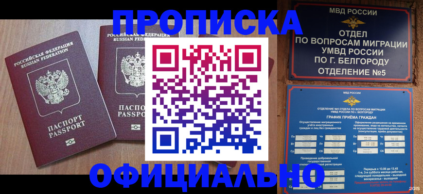 найти адрес прописки в Барыше